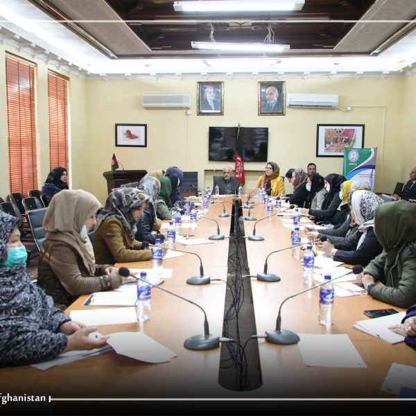 130928603_4984419484931343_7088634805477415602_o